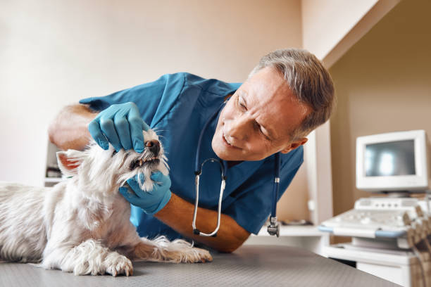 Best Emergency Tooth Extraction  in Matheny, CA